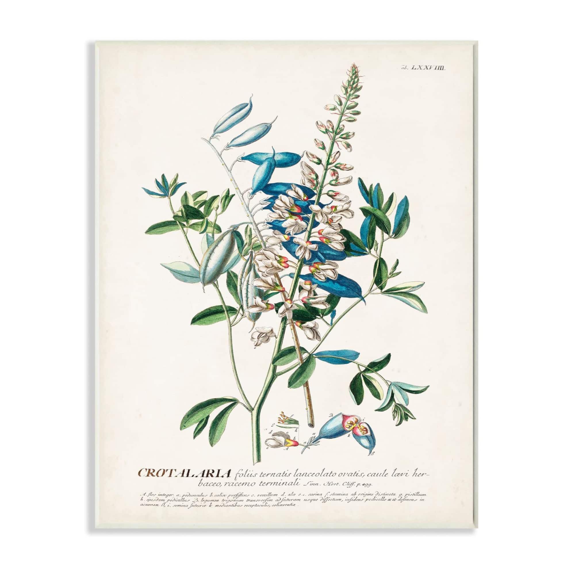 Stupell Industries Flowers & Leaves Vintage Illustration Wall Plaque